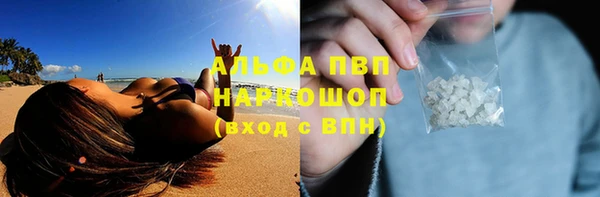 прущий лед Карпинск