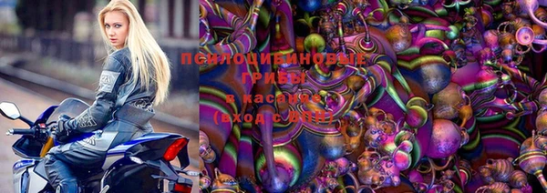 прущий лед Карпинск