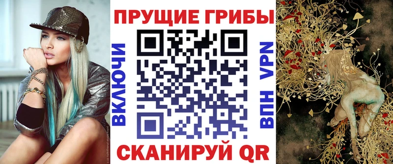 где продают наркотики  Топки  МЕГА маркетплейс  Псилоцибиновые грибы прущие грибы 